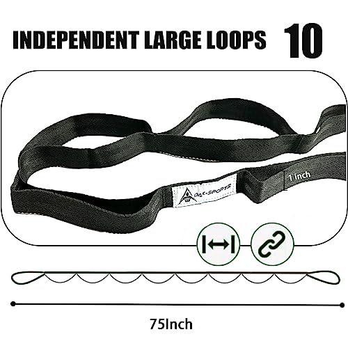 Stretching Strap Yoga Strap with Loops, Stretch Straps for Physical Therapy, Non-Elastic Exercise Strap for Pilates, Dance and Gymnastics with Workout Guide - color: Black+Black