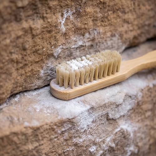 Climbing Hold Brush with Wood Handle Fiber Head 20cm Compact Tool for Chalk Buildup Rock Pocket Gym Routes