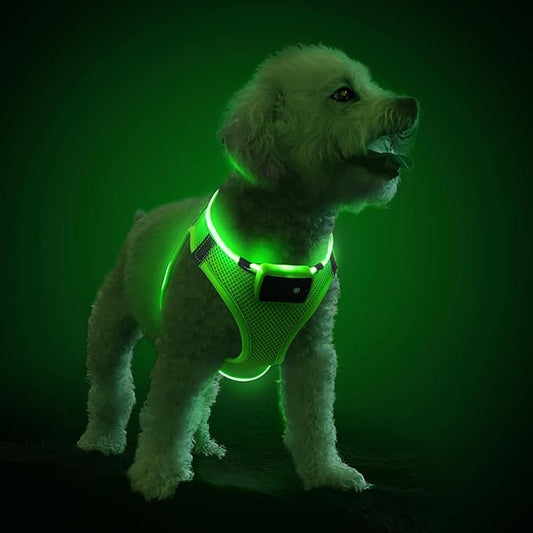 Pceotllar LED Dog Harness - Rechargeable, Flashing Light, No Pull, Reflective - Small/Medium, (Green S)