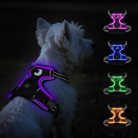 Taglory Light Up Dog Harness, Rechargeable No Pull Dog Vest with 3 Lightning Modes, Reflective Dog Harness with 2 Leash Clips & 4 Adjustable Slide Strips for Small Dogs, Black-Purple, S