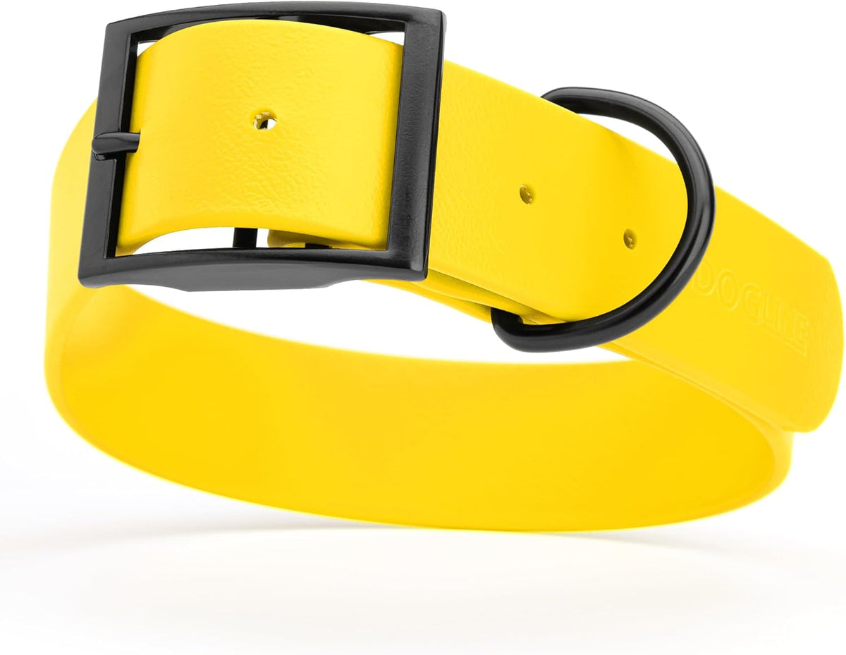 Dogline Biothane Waterproof Dog Collar Strong Coated Nylon Webbing with Black Hardware Odor- Proof for Easy Care Easy to Clean High Performance Fits Small Medium or Large Dogs, Lemon Yellow