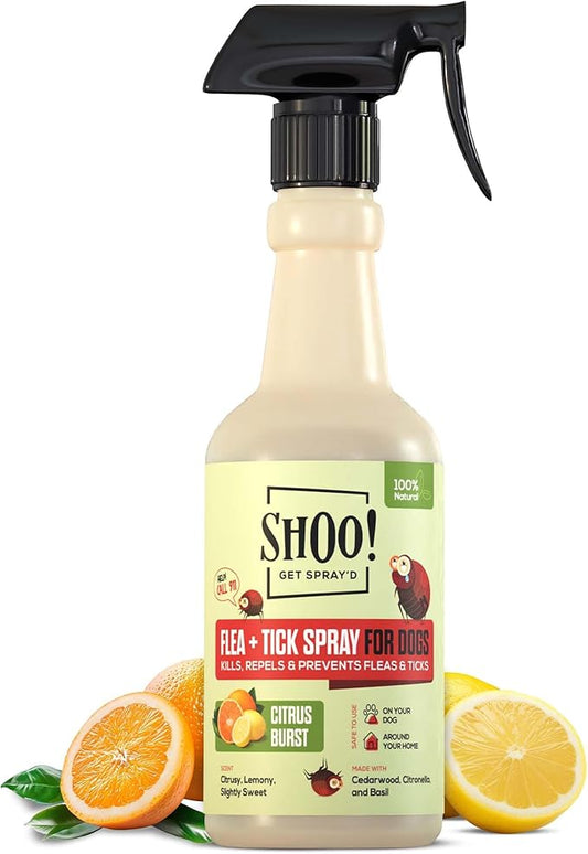 Shoo! Flea & Tick Spray for Dogs and Home | Plant Based, Natural Oils, Chemical Free Formula | Kills, Repels, Prevents | 16 oz (Citrus Burst)