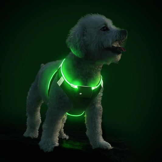 PceoTllar Light Up Dog Harness, LED No Pull Reflective Dog Harness, Flashing Lighted for Night Walking - Small/Medium, (Black Green,xs)