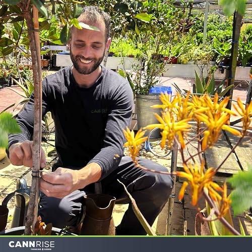 Anchor Bands for Trellising – 110-Pack 5 cm/1.96 in Rubber Vine Ties, UV-Protected Bands: Grapevines, Trees & Climbing Plants – Tool-Free Loop-and-Anchor Design for Install, Weatherproof - size: 110 pack / 1.96"