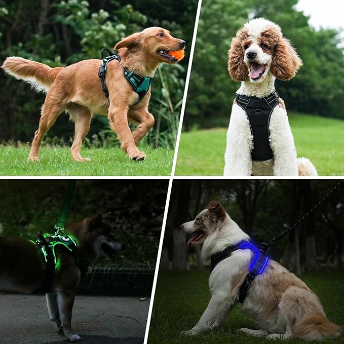 Taglory Light Up Dog Harness, Rechargeable No Pull Dog Vest with 3 Lightning Modes, Reflective Dog Harness with 2 Leash Clips & 4 Adjustable Slide Strips for Large Dogs, Purple-Orange, XL