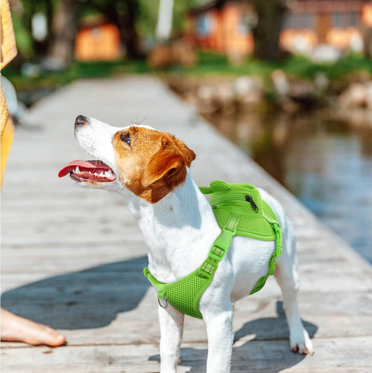 IDOMIK Dog Backpack Harness, No-Pull Dog Backpack with D-Ring for Small Medium Dogs, Cute Self Carrier Backpack for Dogs to Wear, Adjustable Doggy Backpacks for Traveling Camping Hiking, Frog, M