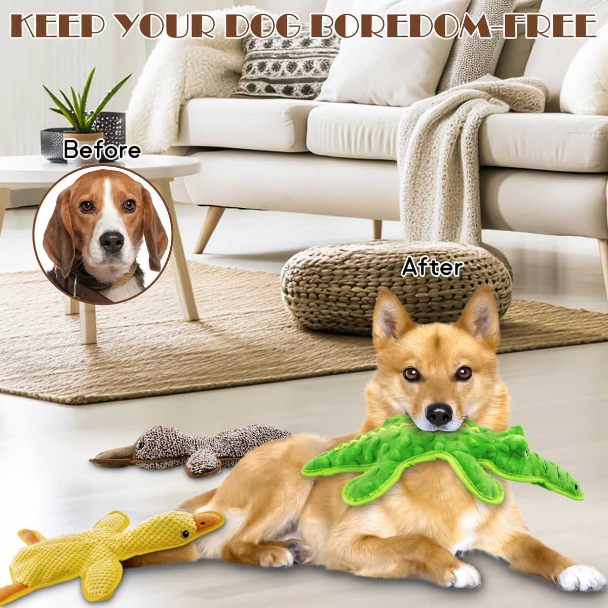 No Stuffing Dog Squeak Toys, 3 Pack Chew Toys for Small to Large Puppies