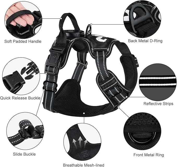 Taglory Light Up Dog Harness, Rechargeable No Pull Dog Vest with 3 Lightning Modes, Reflective Dog Harness with 2 Leash Clips & 4 Adjustable Slide Strips for Large Dogs, Black-Purple, L