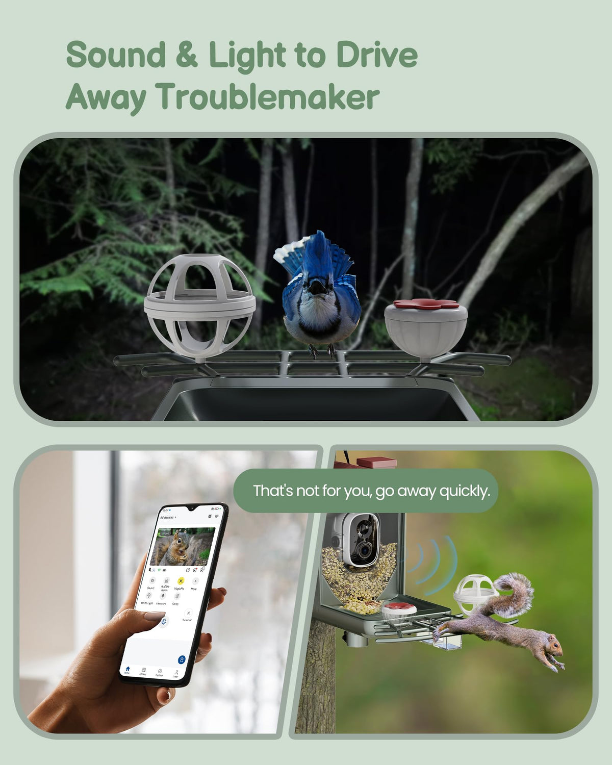 Smart Bird Feeder with Camera Outdoor: Solar Birdfeeder Cam for Outside Garden - 2K HD Live Video Camera AI Recognition Visible Window Auto Capture - Bird Lover Gifts
