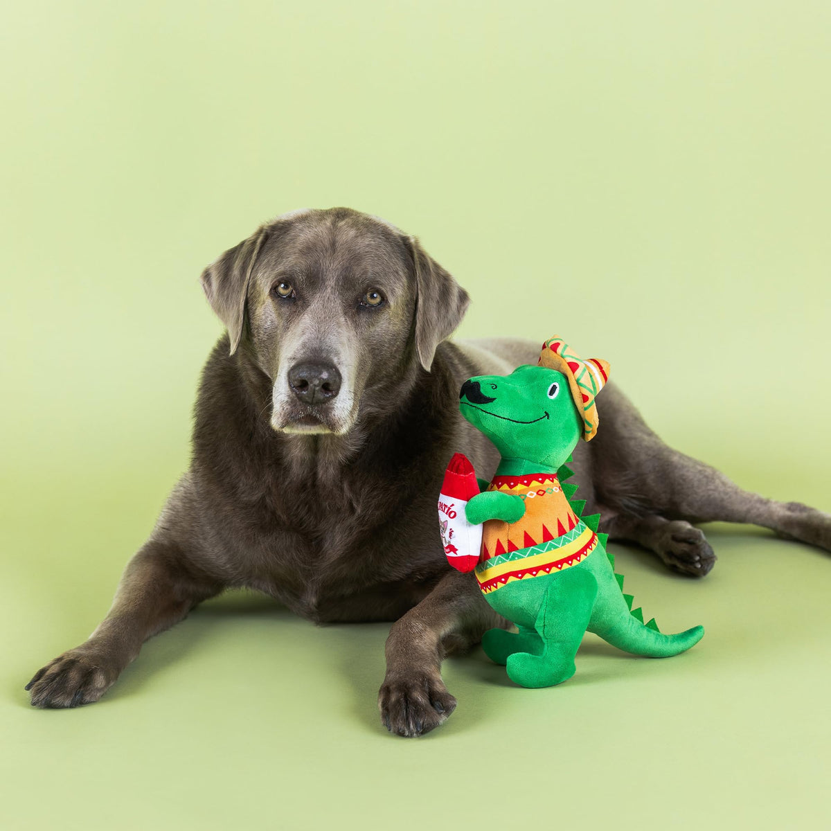 Fringe Studio Fiesta Saurus Plush Dog Toy, Pet Shop Collection (314338)