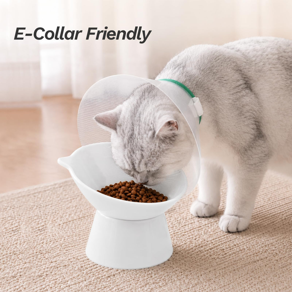 Raised Cat Bowls, 6.3" Extra Wide Shallow Elevated Cat Bowl Detachable, 15° Tilted Whisker Friendly Cat Feeding Bowl, 16oz Capacity, Anti-Vomiting, Neck Protection, Food&Water for Cats Puppies, White