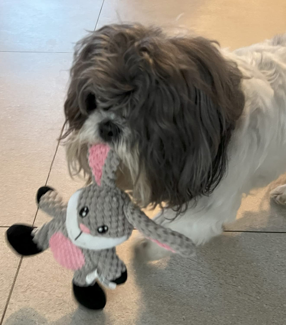 Glory To Dog Barnyard Rabbit Plush Toy for Small Dogs and Puppies