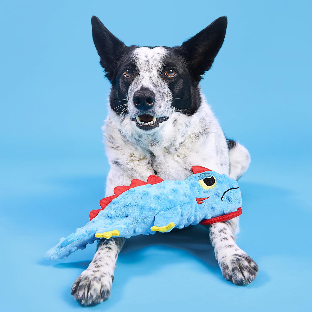 BarkBox Izzy Lizzy