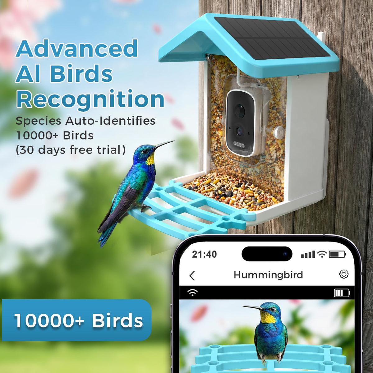 Smart Bird Feeder with Camera Integrated Solar Roof, Bird House with Camera