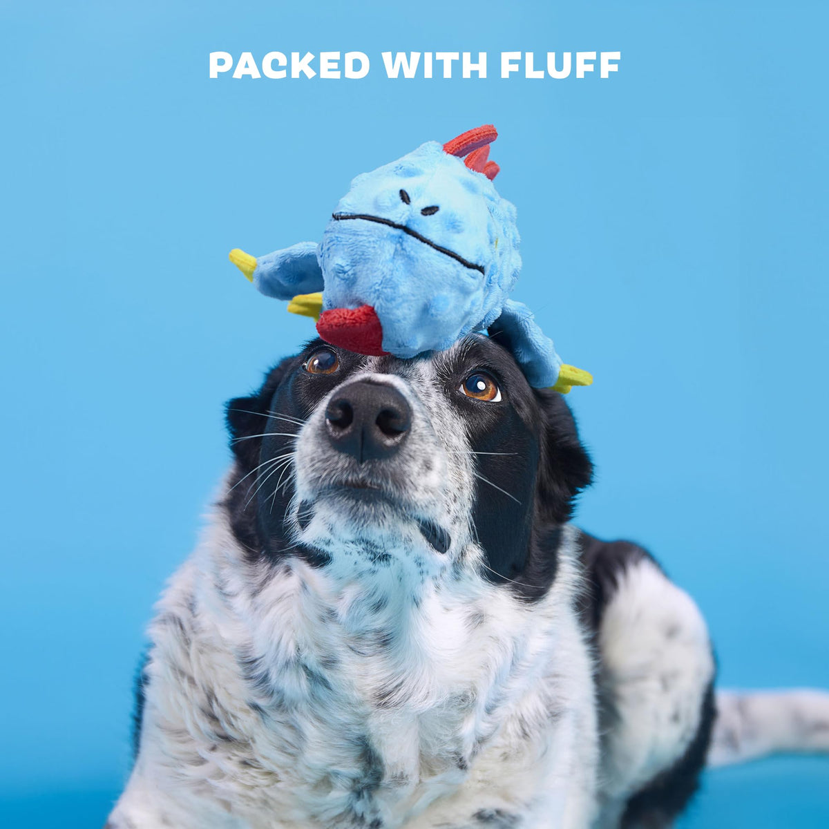 BarkBox Izzy Lizzy