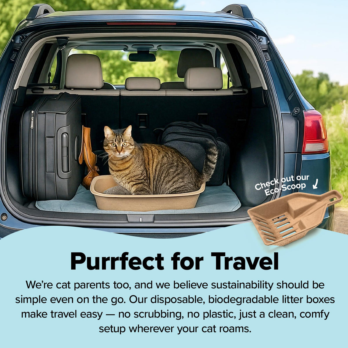 Kitty Sift Disposable Cat Litter Box Large, 6 Count, Durable Portable for Travel and Home, Eco-Friendly Disposable Litter Box Controls Odor