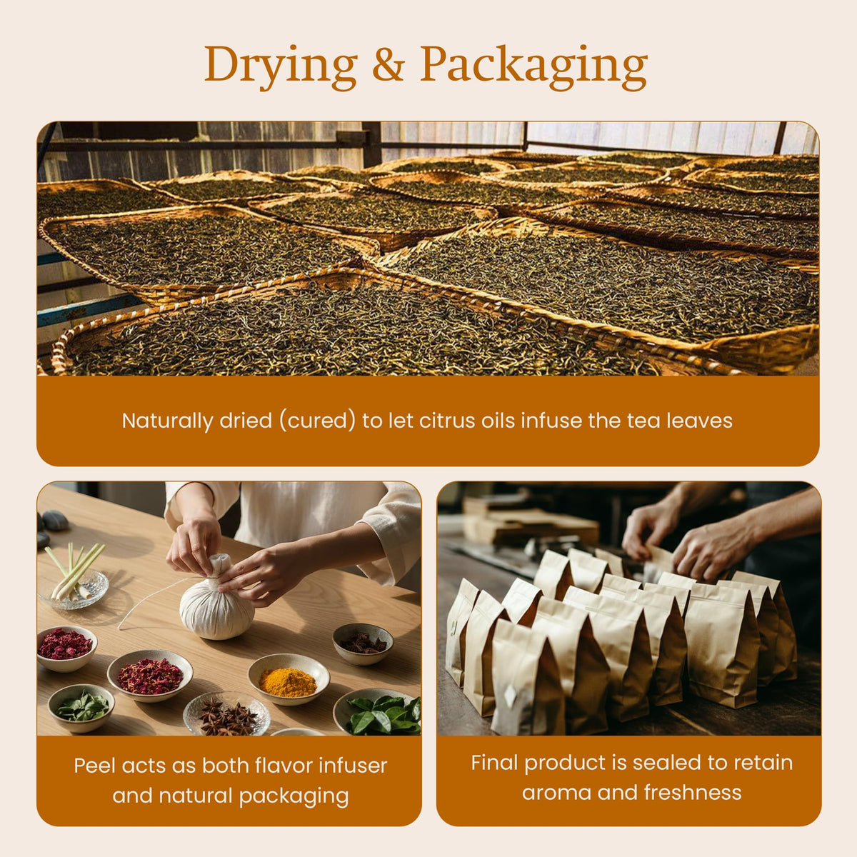 ANNHI TEA Mandarin Pearl Puerh - 6 Whole Dried Citrus Pieces, Premium Fermented Puerh Tea with Mandarin Peel, Smooth, Earthy & Sweet Aroma, Natural Vietnamese Detox Tea Pack