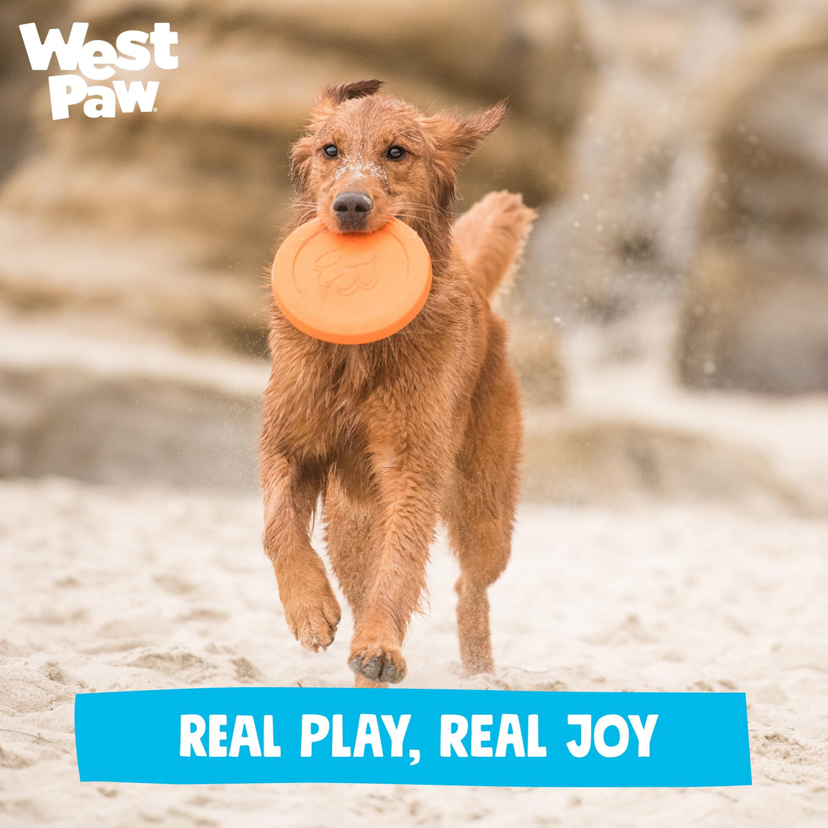WEST PAW Zisc High-Flying Disc Dog Toy - Small - Granny Smith Green