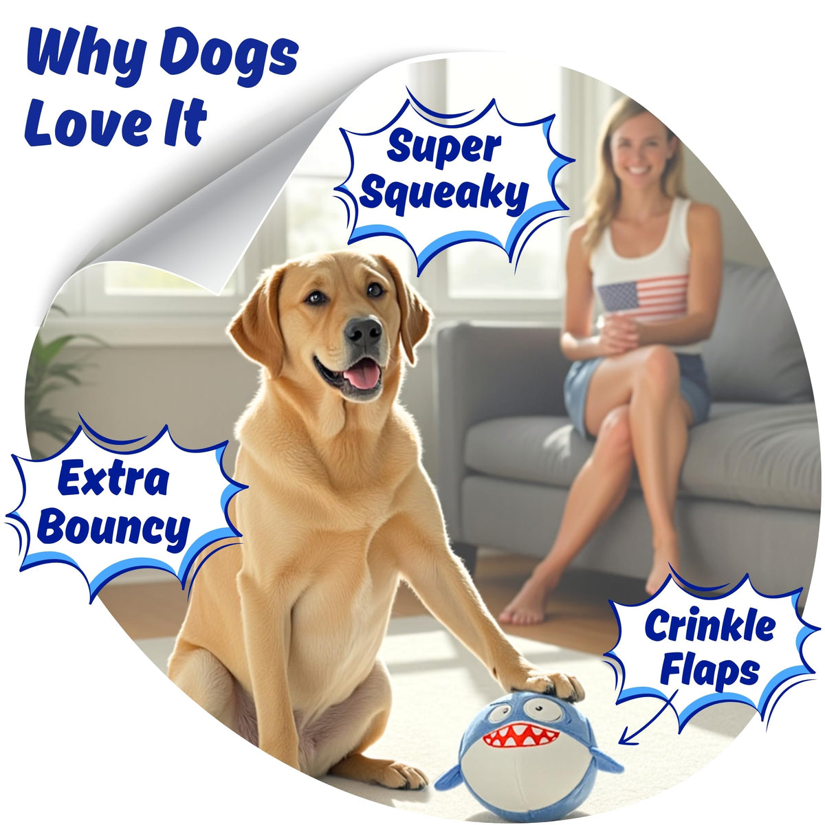 Dog Toy for Aggressive Chewers, Tough Squeaky Chew Ball, Large Breeds Gift