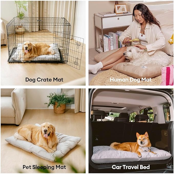 FUNNY FUZZY 2 in 1 Dog Bed Crate Pad Mat, Washable Reversible Floor Sleeping Mats,Fluffy Kennel Pad for Medium Sized Dog,Indoor Cats,Sleeping Mattress, 29.9" × 18.9", Light Grey