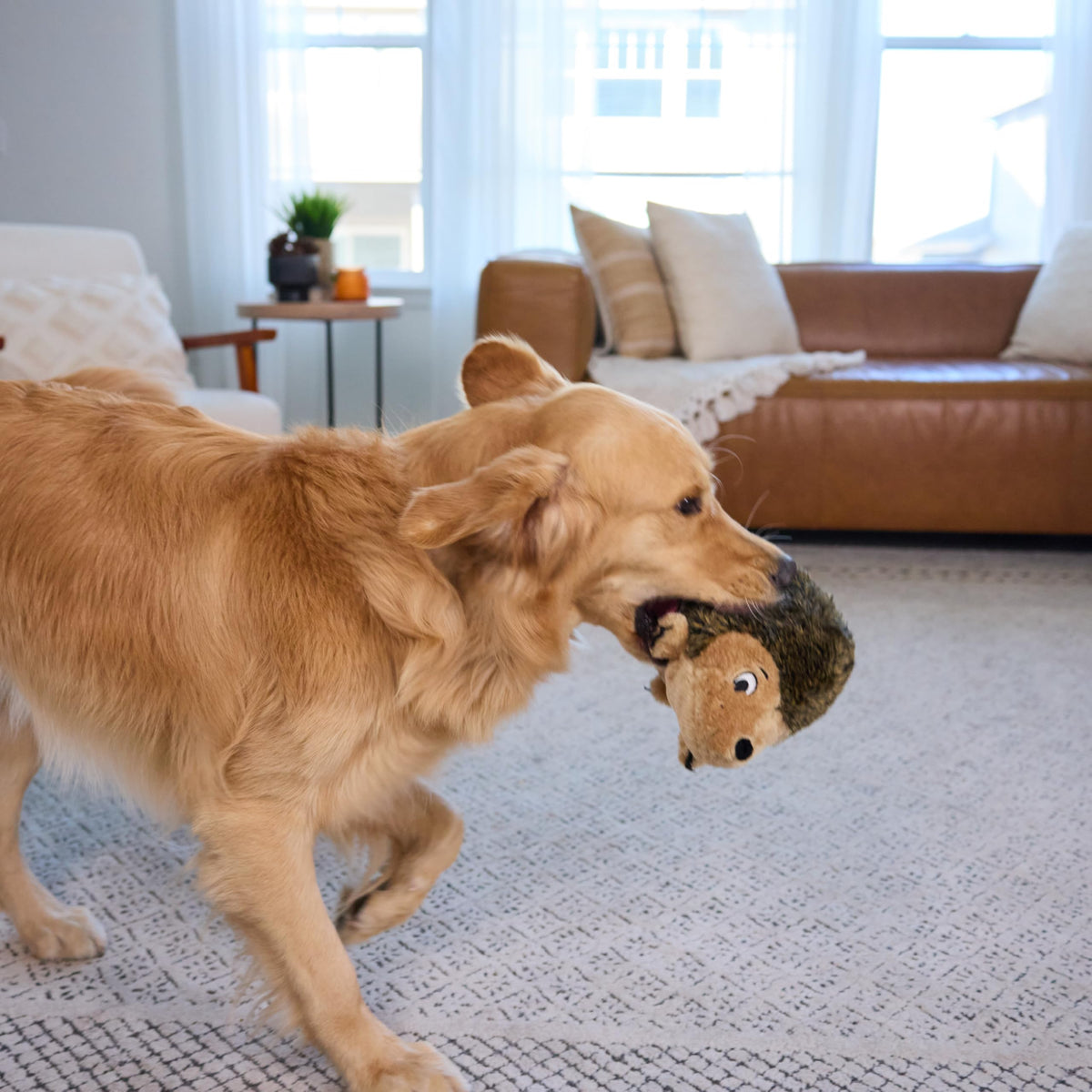 Outward Hound Hedgehogz Plush Dog Toy, Squeaks & Grunts, Large, 12" x 7"
