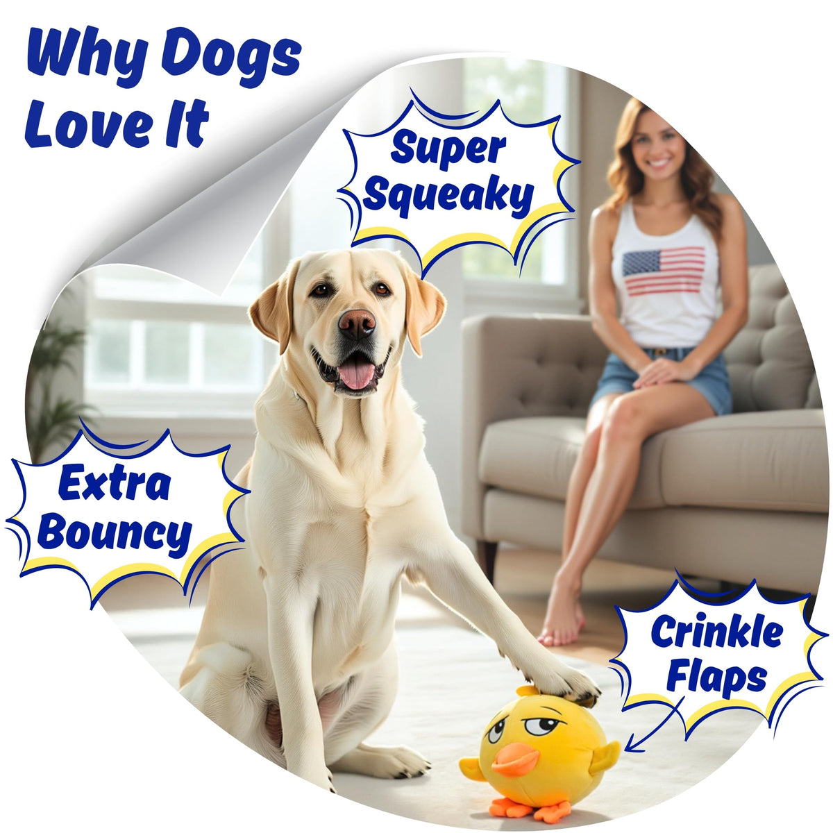Dog Toy for Aggressive Chewers, Tough Squeaky Chew Ball, Large Breeds Gift