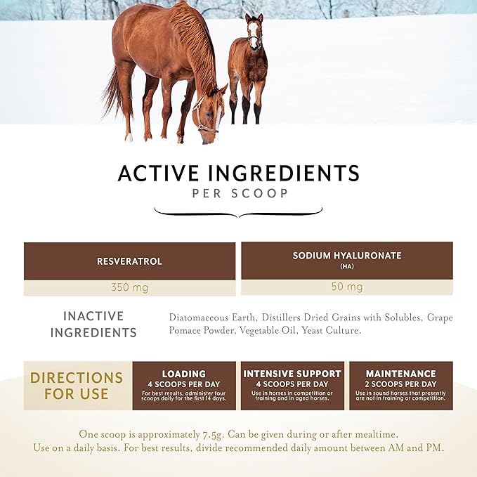Equithrive Original Joint Supplement Powder with Resveratrol and Hyaluronic Acid for Horses, Equine Care, 2 lbs