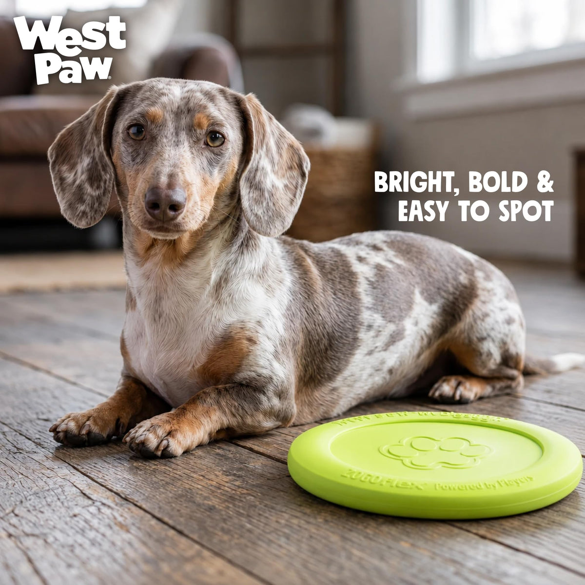 WEST PAW Zisc High-Flying Disc Dog Toy - Small - Granny Smith Green