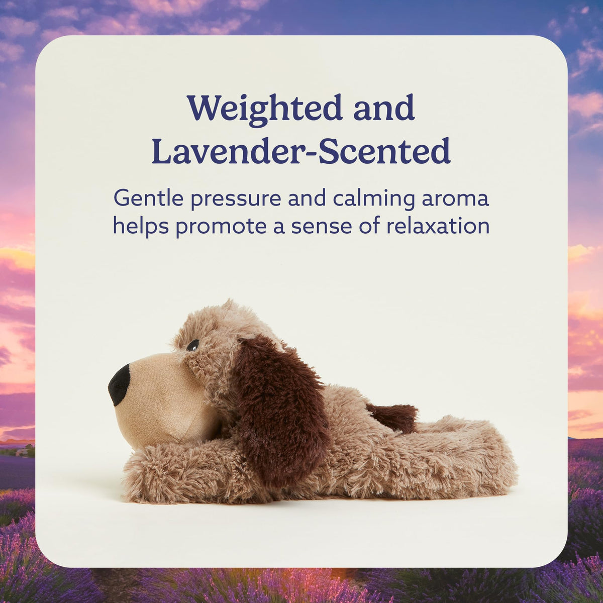 warmies Microwavable & Weighted Stuffed Animals, Brown Dog - Heated Stuffed Animal Plushie for Warmth & Comfort - Cute Soft Plush Toys for Adults & Children (Boys, Girls, Babies & Toddlers)