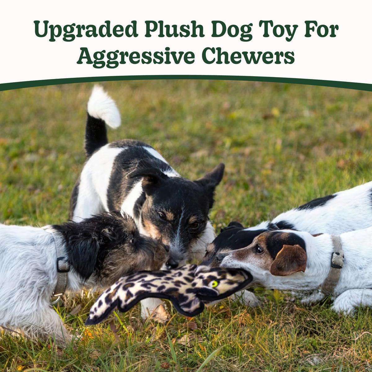 SHARLOVY No Stuffing Dog Toys Crinkle Squeaky, Long Lasting Chews for Aggressive, Durable Plush Dog Puppy Chew Toys for Teething, with 6 Tough Layers for Small Medium Large Breed-5pack,Large