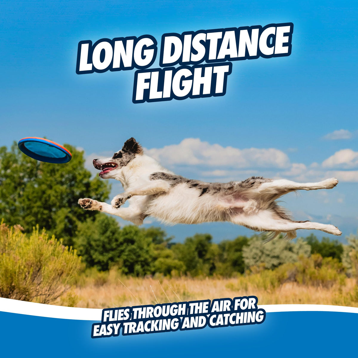 Chuckit! Paraflight Flying Disc Dog Toy, Floats, Size Large, 1 Pack