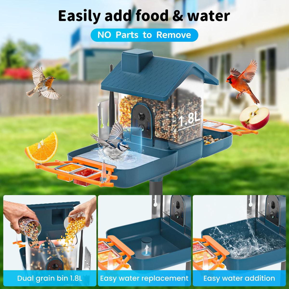 Smart Solar Bird Feeder with Camera & Outdoor Bird Bath