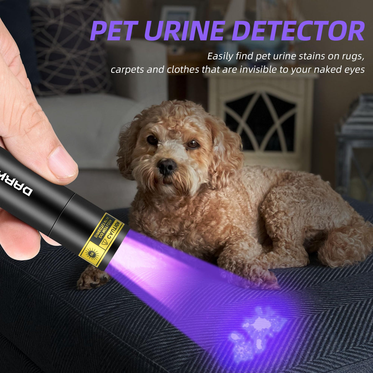 DARKBEAM Flashlight UV Black Light 395 NM, Mini but Powerful USB- C