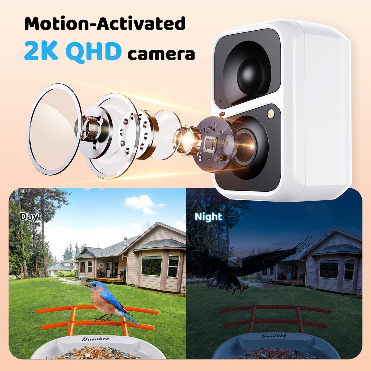Buenkee Smart Bird Feeder with Camera, 2K HD, AI Bird ID, Solar Powered