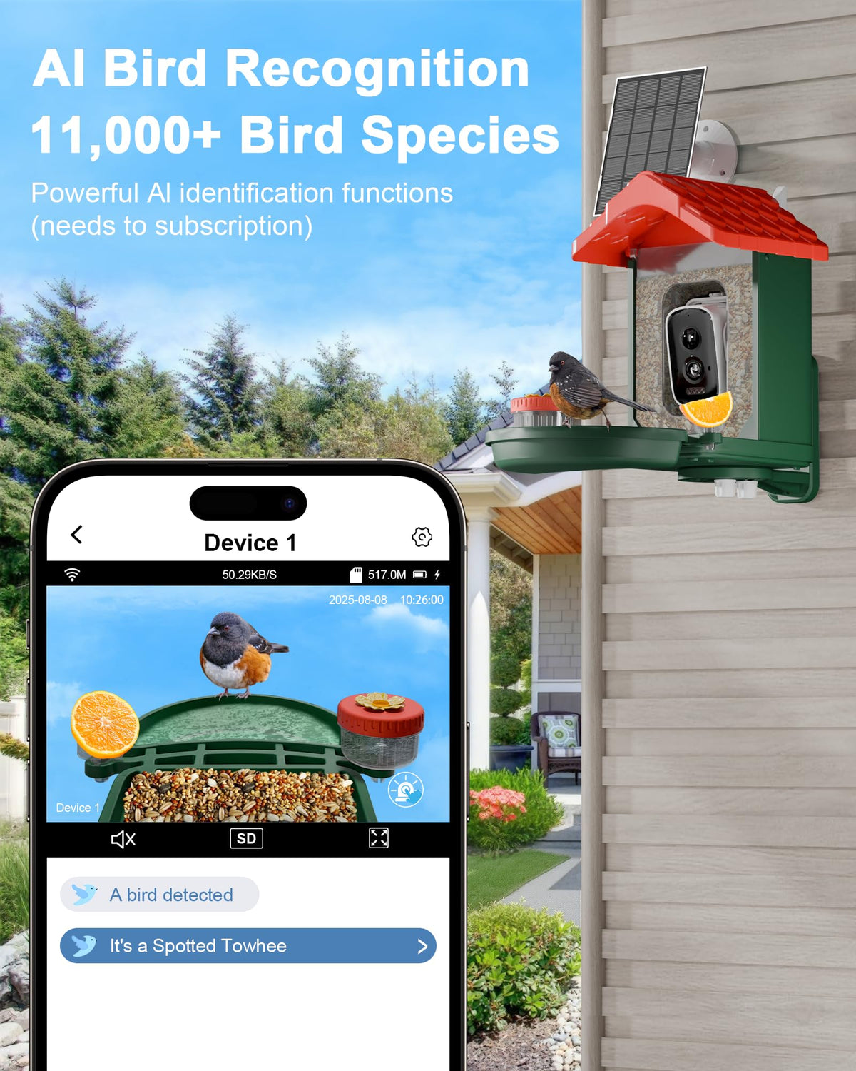 VISIOGEAR 2-in-1 Smart Wild Bird Feeder & Bath with 4K HD Camera, AI Identification Solar Bird Feeder Watching Camera Night Vision for Outdoor Birds Watching Gifts for Birdlover, Red & Green