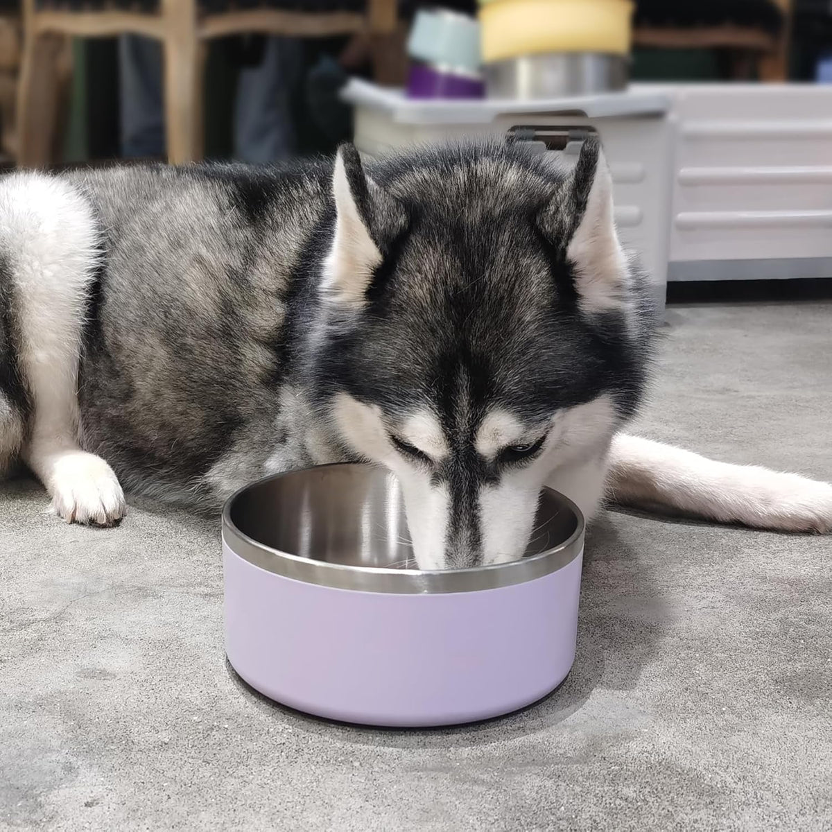 Stainless Steel Dog Bowls, Metal Dog Bowls, Water Bowl for Dogs, Dog Food Bowls, Pet Bowls for Dogs, Dog Dish for Large Dogs, Insulated Dog Bowl, Non Slip Dog Bowl,Easy Clean,40oz,LightPurple