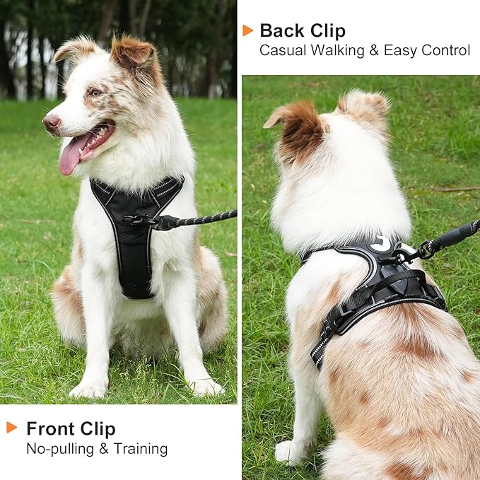 Taglory Light Up Dog Harness, Rechargeable No Pull Dog Vest with 3 Lightning Modes, Reflective Dog Harness with 2 Leash Clips & 4 Adjustable Slide Strips for Small Dogs, Black-Purple, S