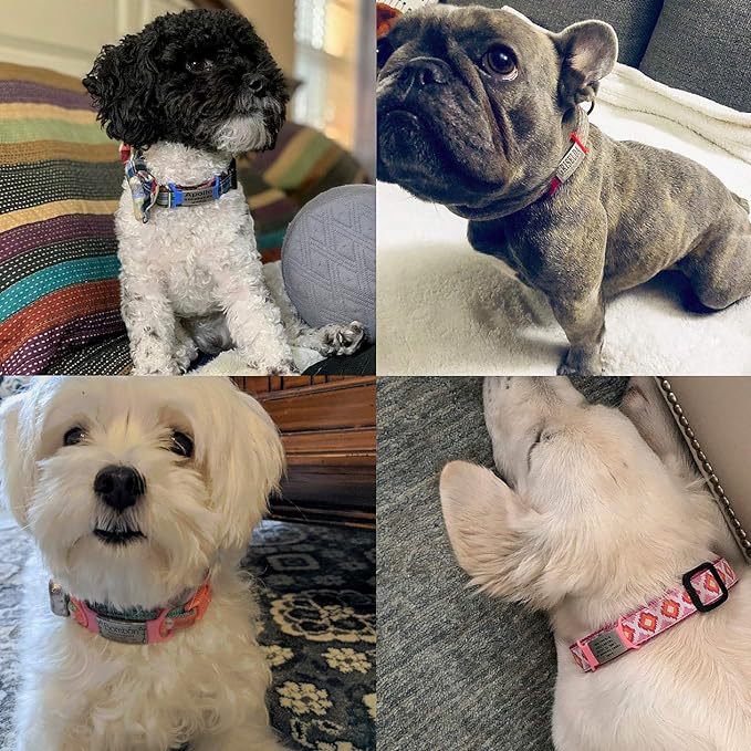 Personalized Custom Dog & Cat IDs - No Noise, Slide On, Engraved Dog Name Tags for Small, Medium, Large Pets