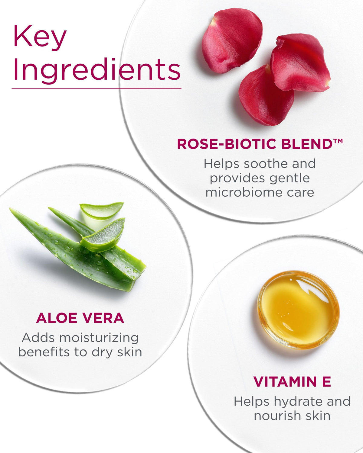 Andalou Naturals 1000 Roses Gentle Cleansing Foam (5.5 fl oz)