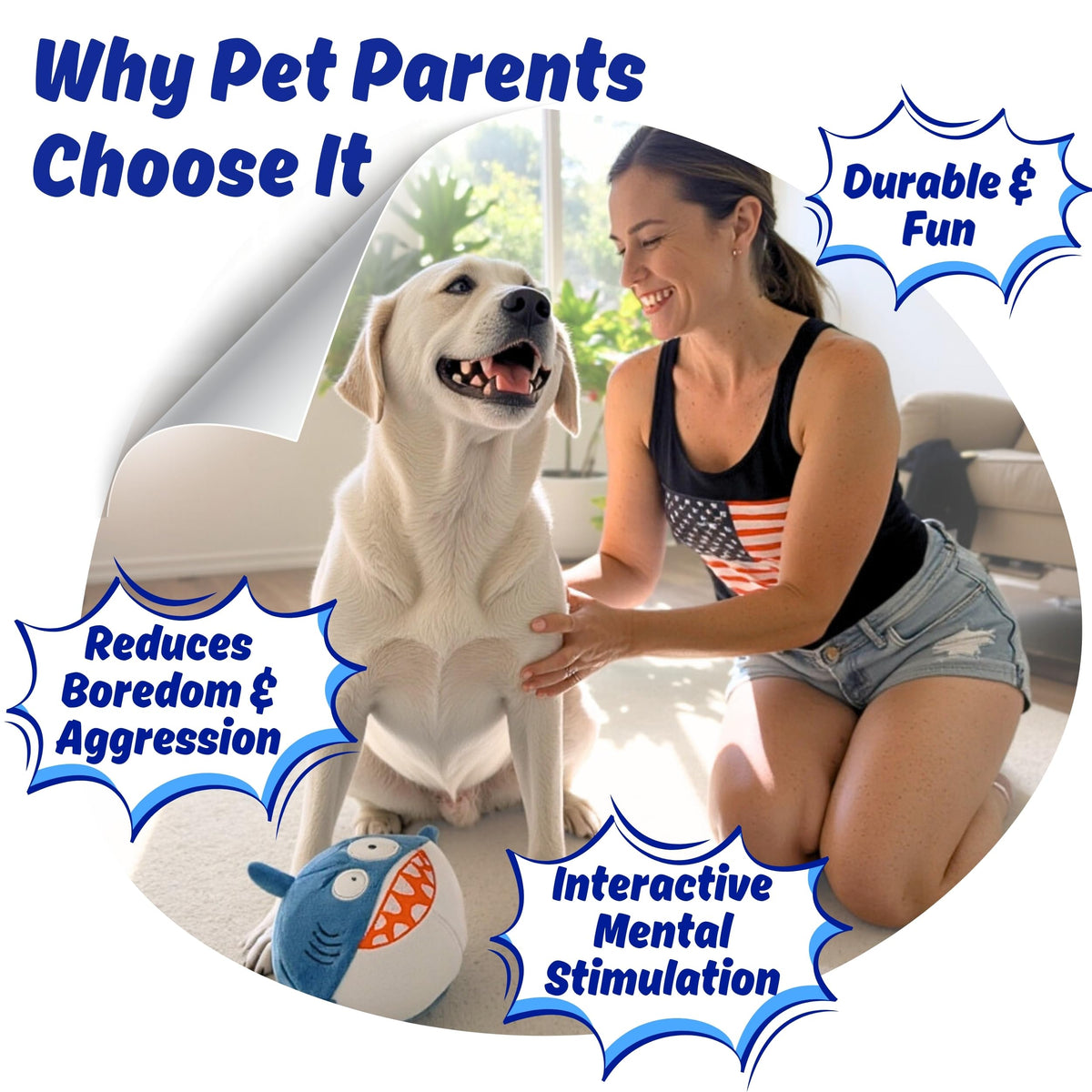 Dog Toy for Aggressive Chewers, Tough Squeaky Chew Ball, Large Breeds Gift