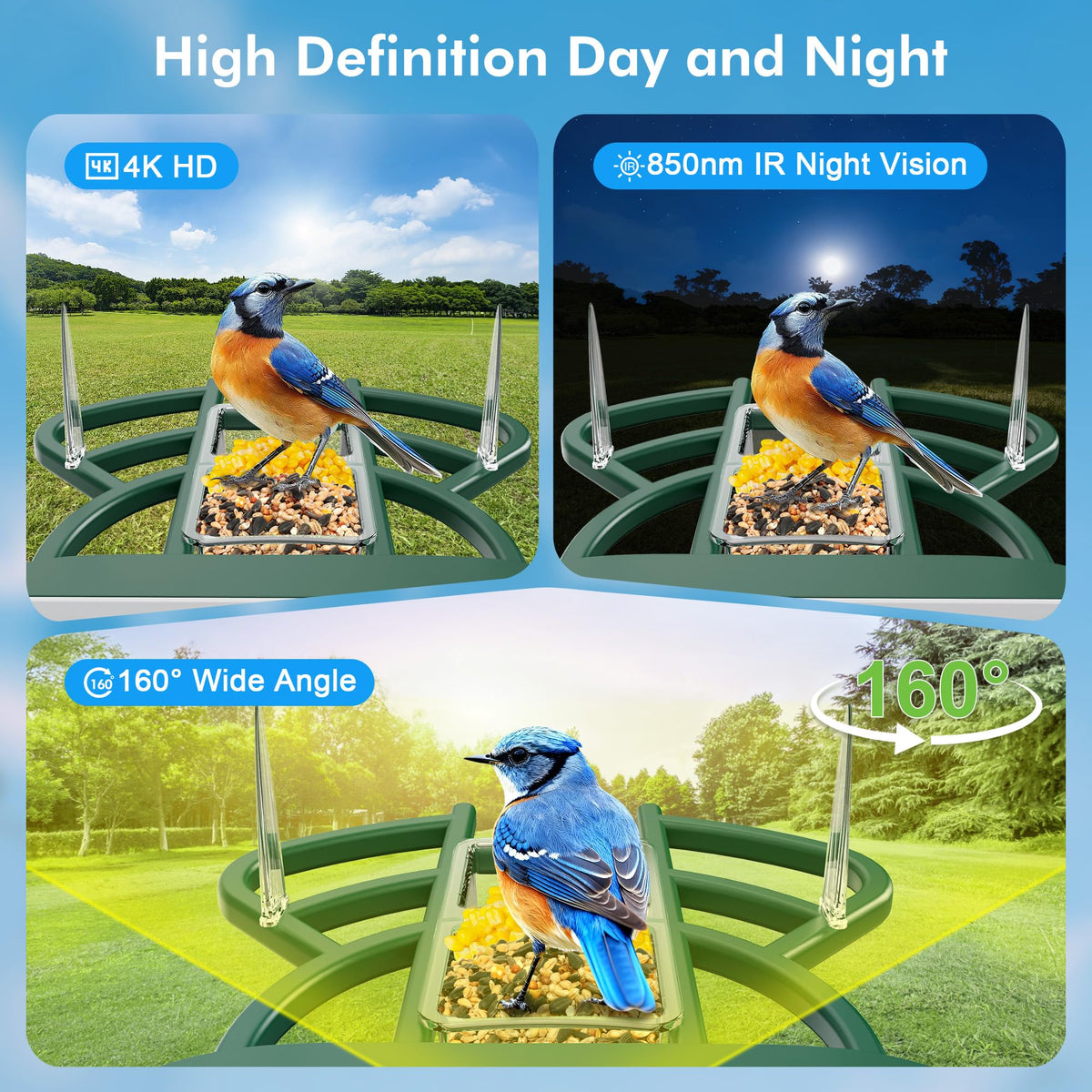 Nuctove Smart Bird Feeder with Camera Solar Powered, 4K HD Live Video Bird Camera Feeder with AI Identifies,App Control,Instant Arrival Alert,Auto Capture,Motion Detection Bird House (Green)
