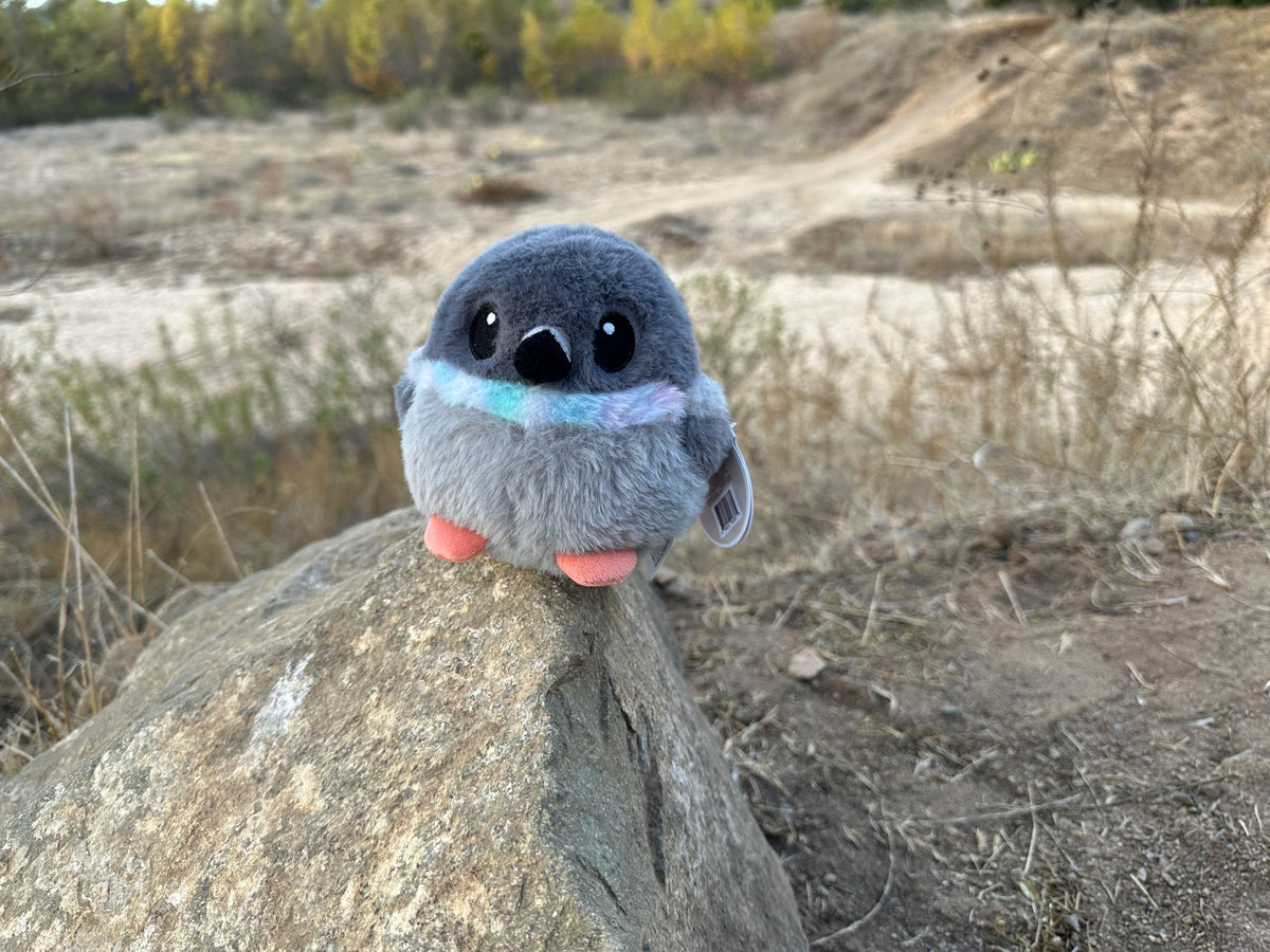 Pigeon Bird Plush with Weighted Fidget Beads. Stress Ball Rock Dove