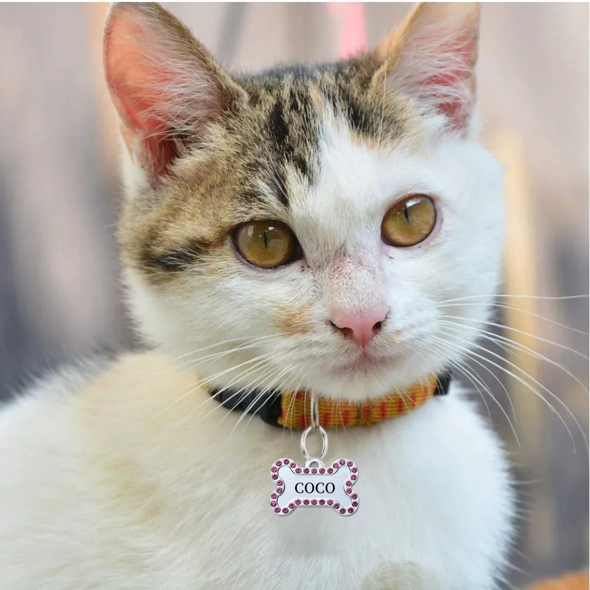 Custom Engraved Pet ID Tag
