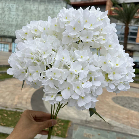 Large Hydrangea Flower Head