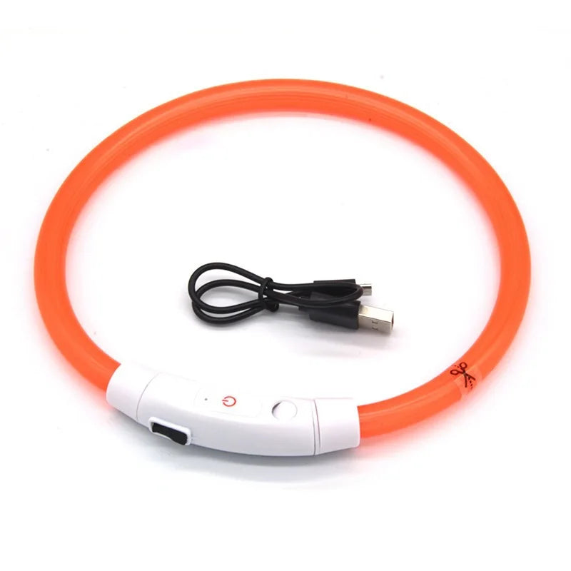 USB Rechargeable LED Dog Collar