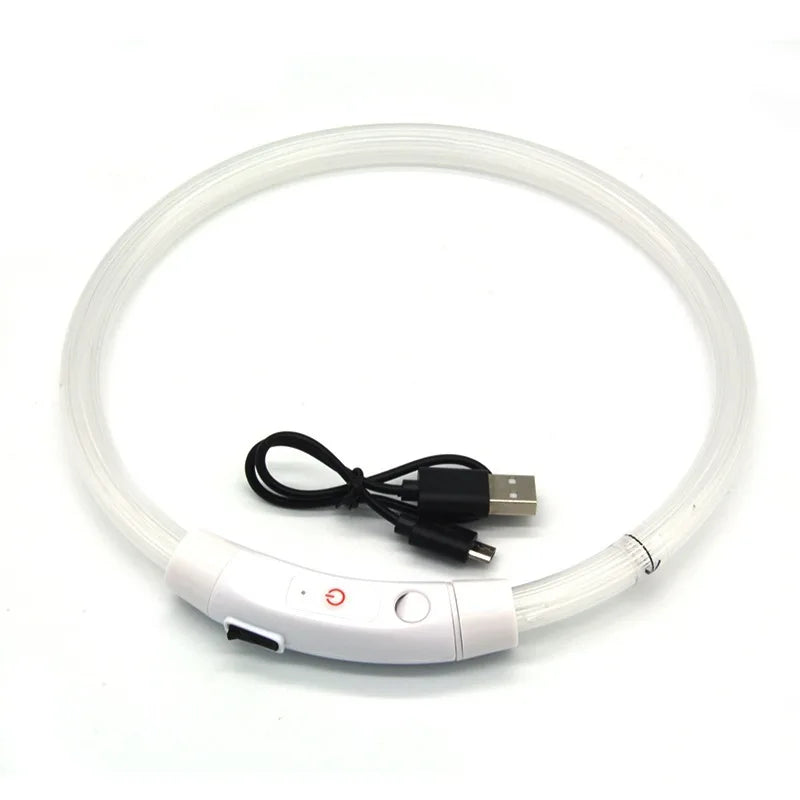 USB Rechargeable LED Dog Collar