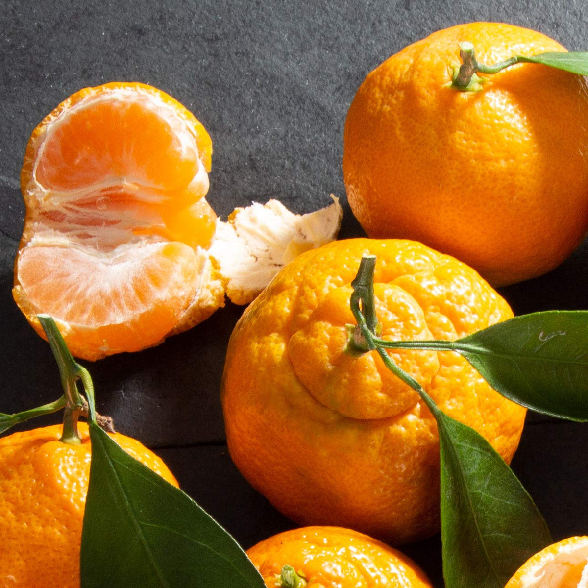 A Gift Inside Sweet & Savory Farmstead Fruit Basket – Fresh Fruits & Gourmet Pairings