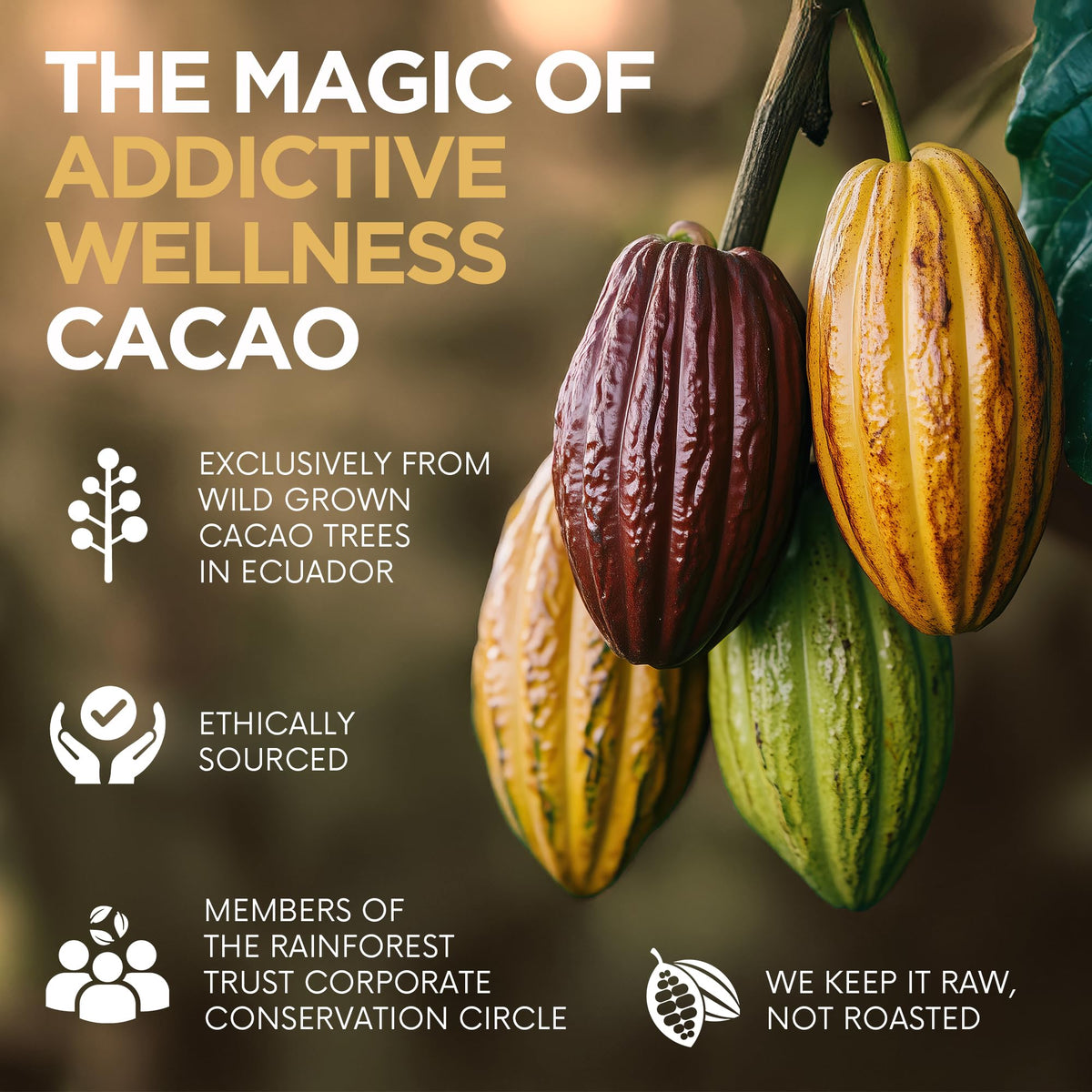 Addictive Wellness Raw Cacao Powder – Wild-Grown Arriba Nacional, Unsweetened 340g