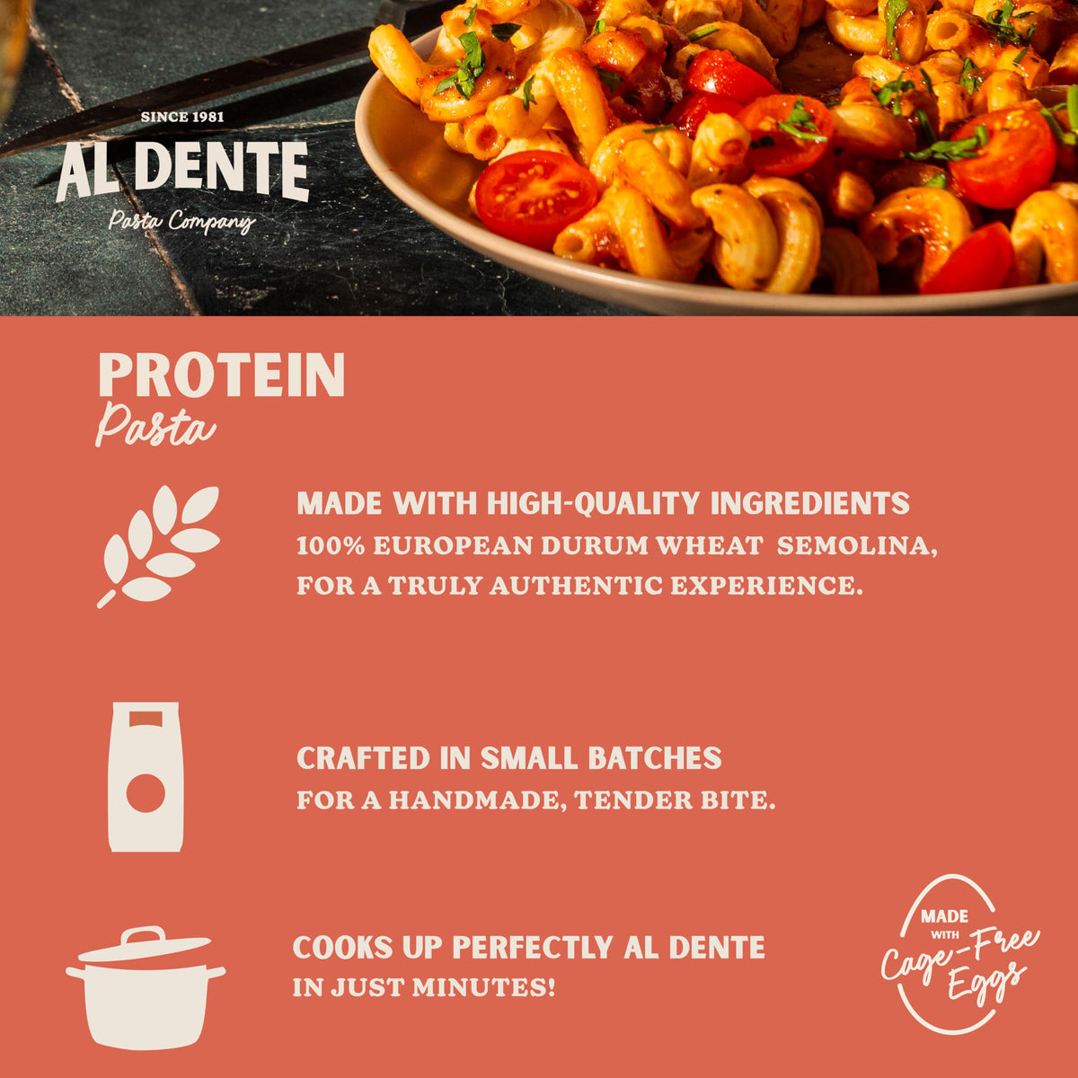AL DENTE Protein Pasta Egg Fettuccine – 30g Protein per 3.5oz Serving, Lower Carb, High Fiber | 4 x 10oz Bags