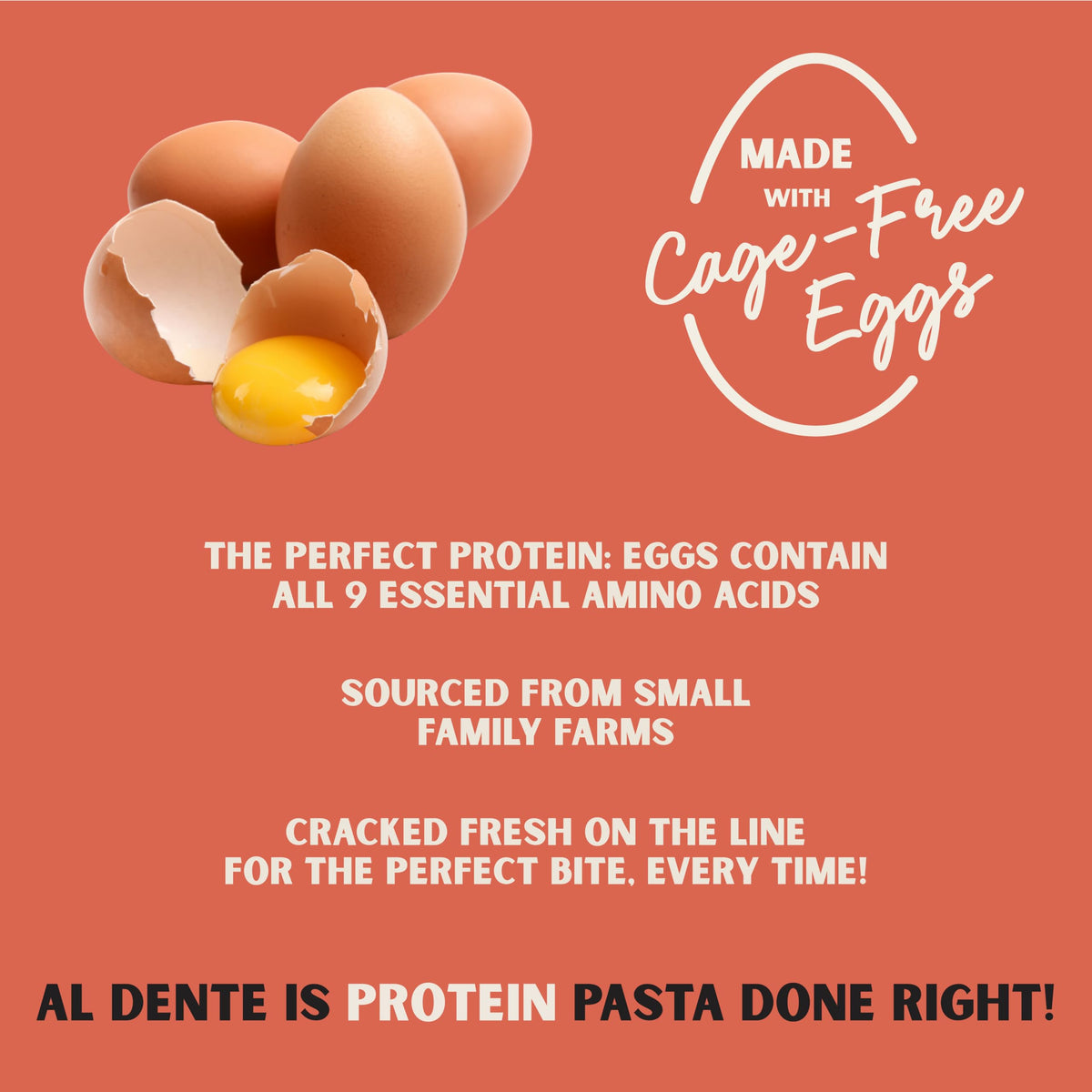 Al Dente Protein Pasta Rigatoni – 30g Protein per 3.5 oz Serving, Lower Carb, High Fiber | 10oz Bags (Pack of 4)